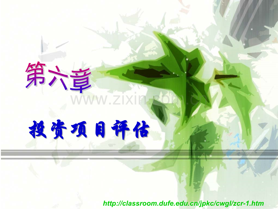投资项目评估.ppt_第1页