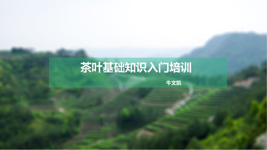 茶知识入门培训.ppt_第1页