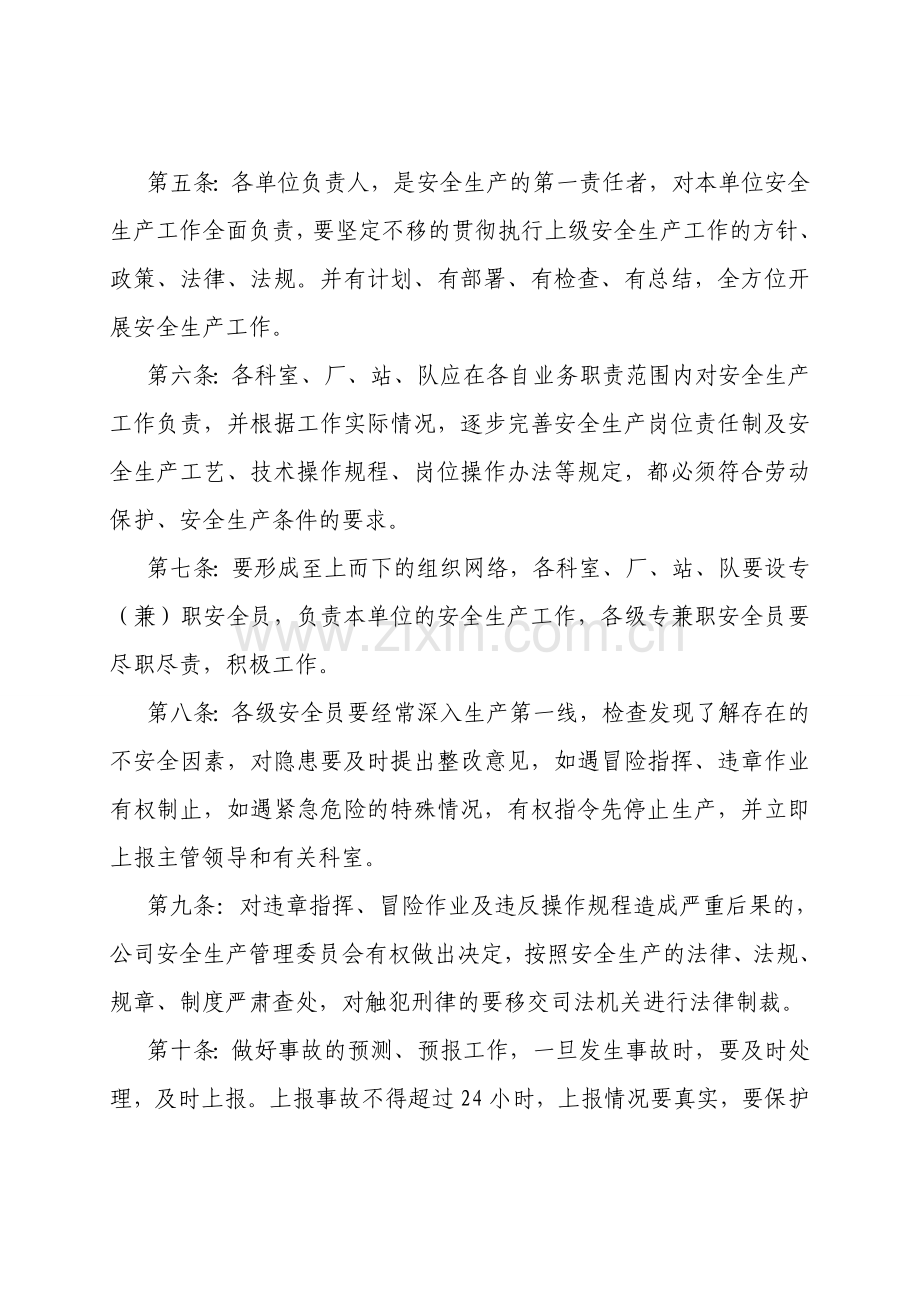 安全生产大隐患、大检查、大整改管理制度.doc_第2页