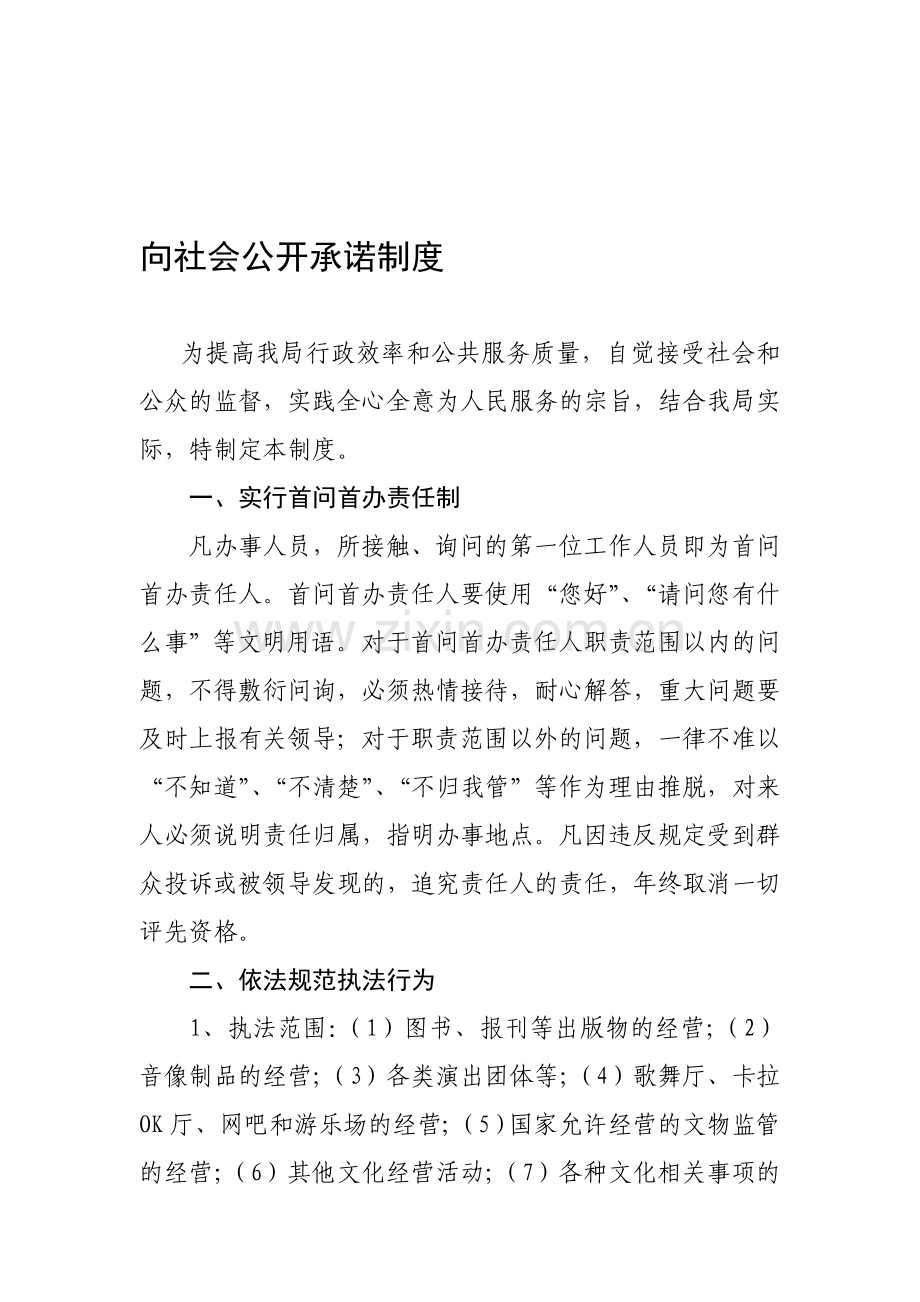 向社会公开承诺制度.doc_第1页