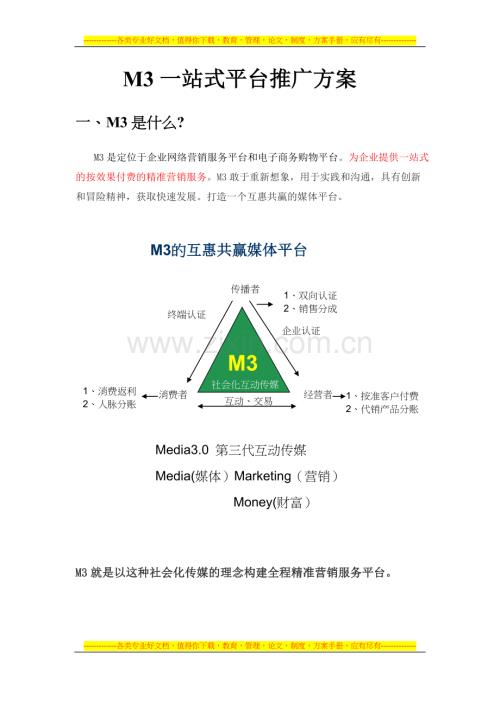 M3一站式网络营销解决方案.doc