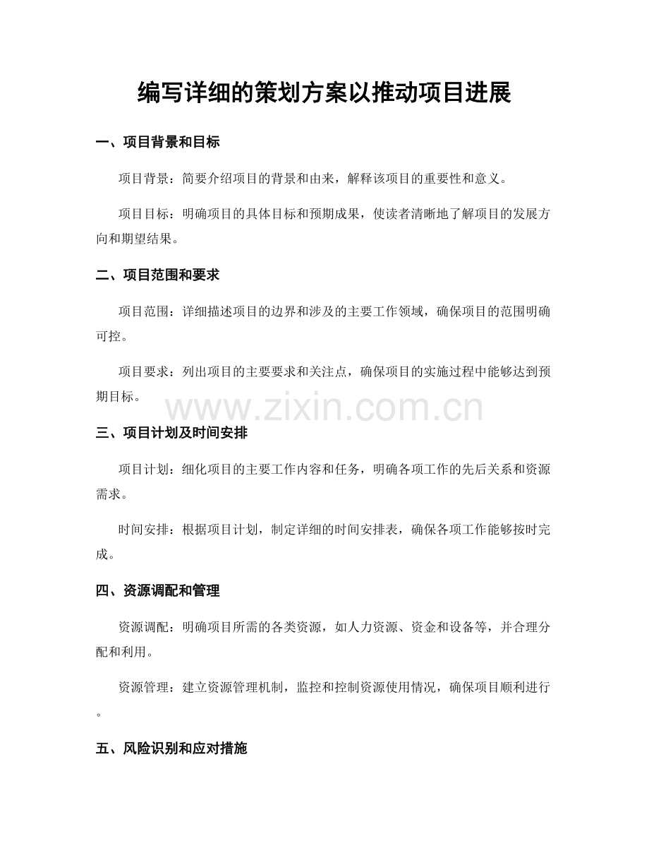 编写详细的策划方案以推动项目进展.docx_第1页