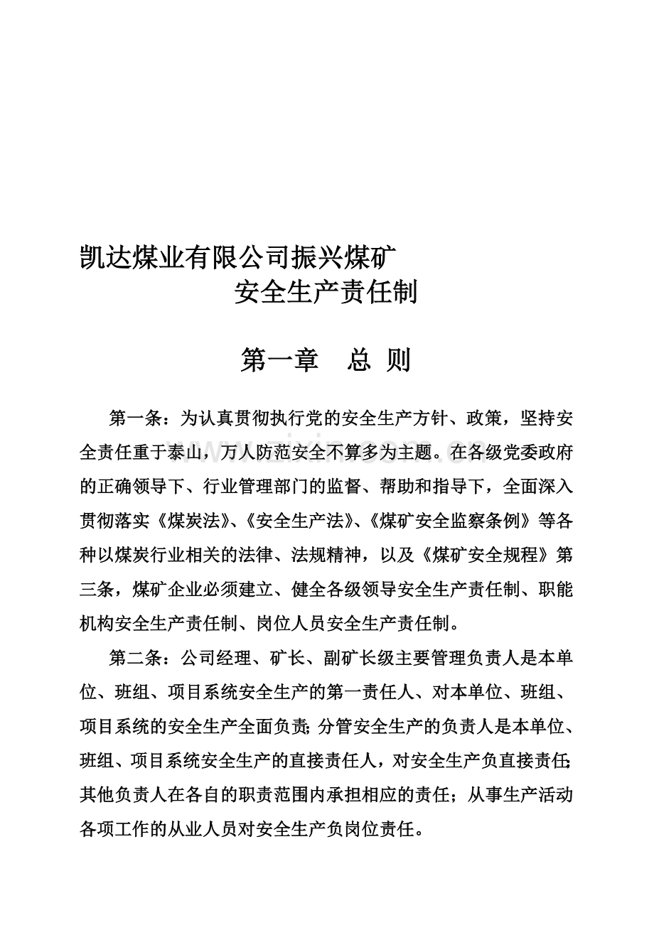 2010年凯达煤业有限公司振兴煤矿安全生产责任制.doc_第1页