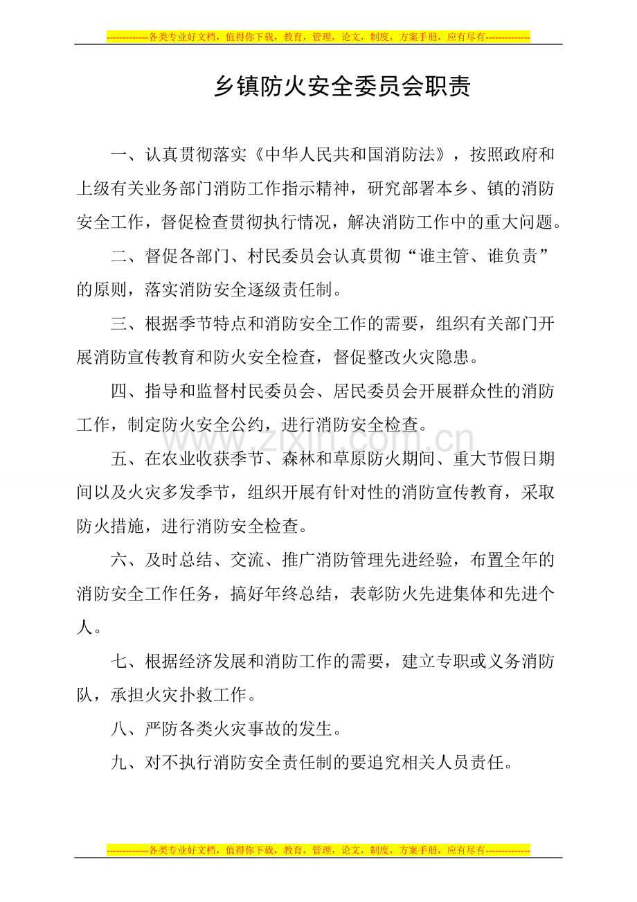 乡政府消防工作职责制度.doc_第2页