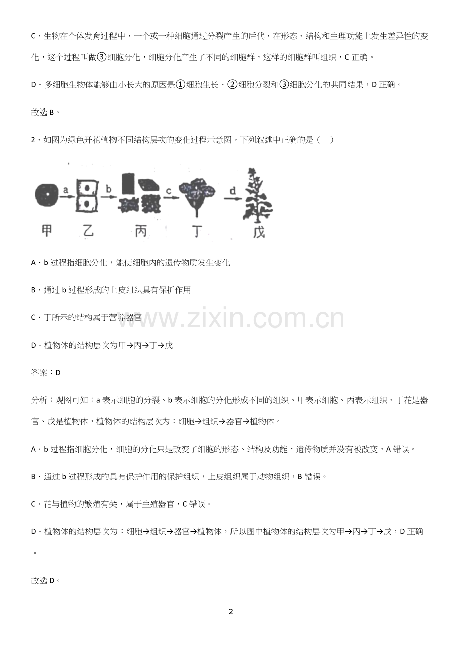 通用版初中生物七年级上册第二单元生物体的结构层次总结(重点)超详细(精选试题附答案).docx_第2页