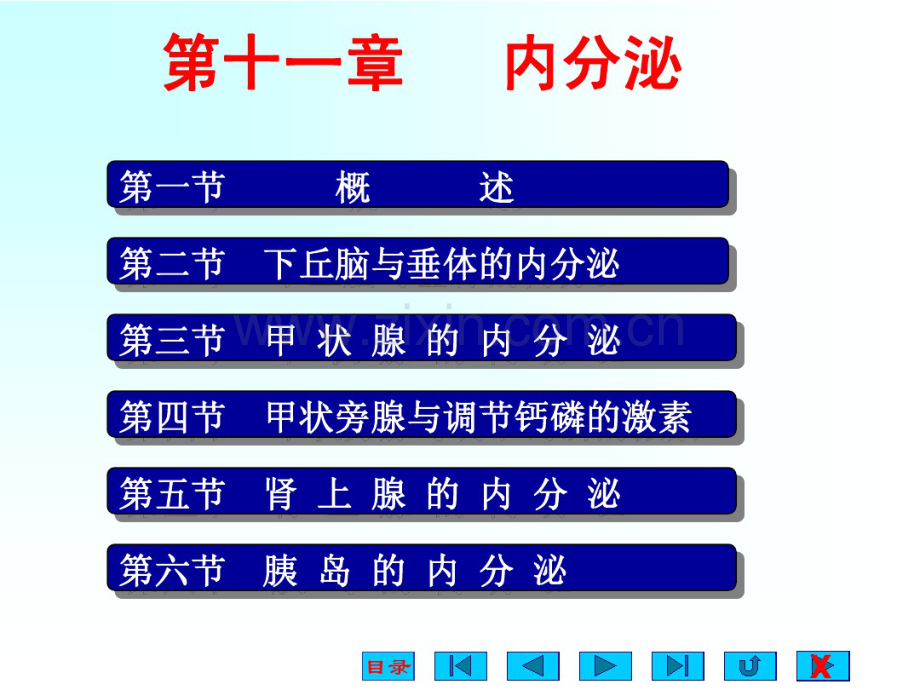 内分泌系统(生理ppt).pdf_第1页