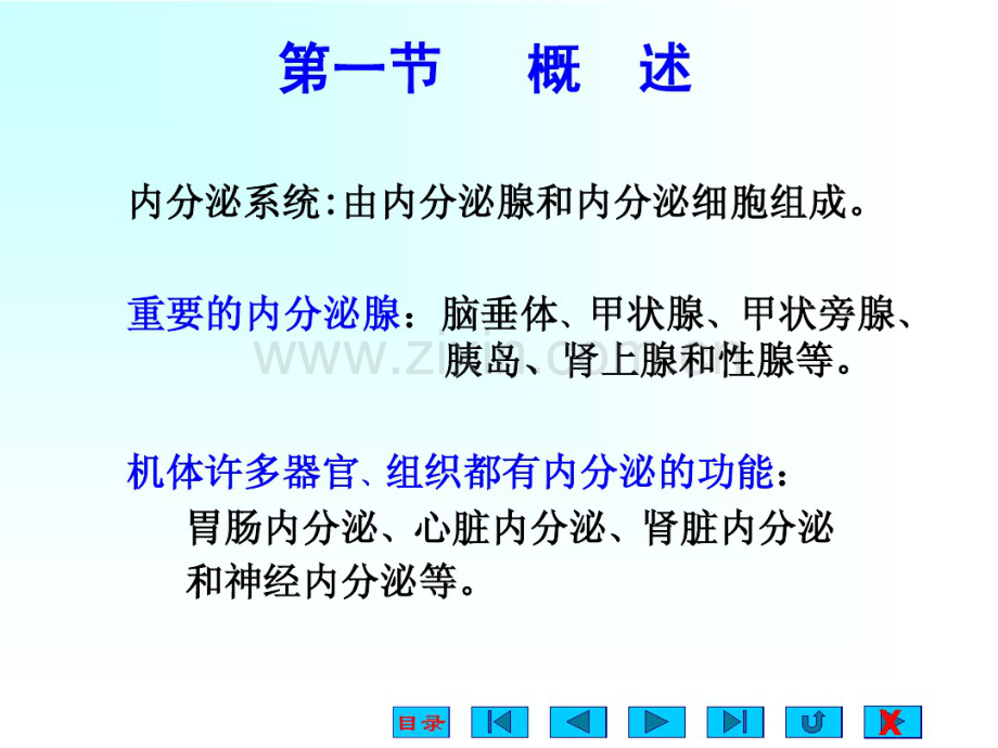 内分泌系统(生理ppt).pdf_第2页