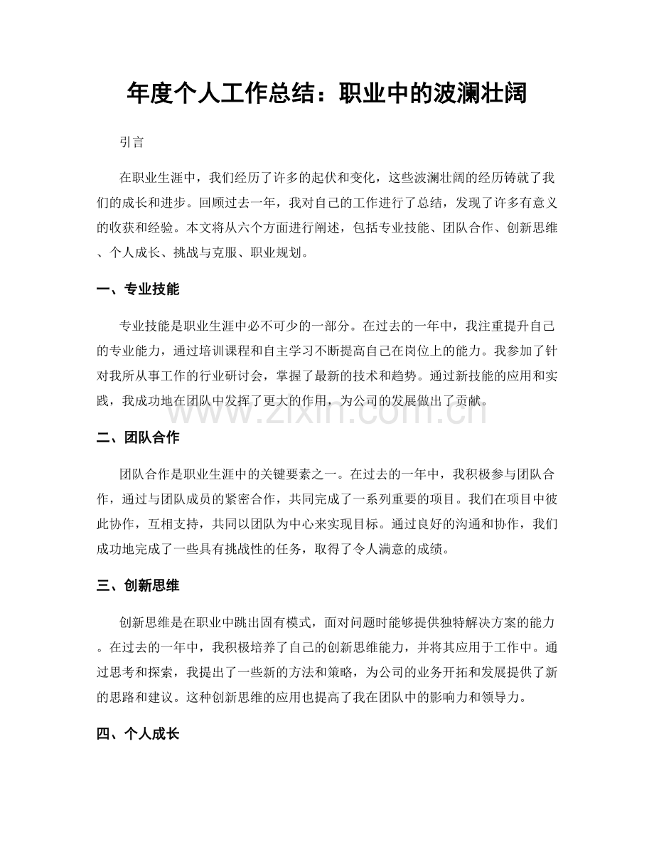 年度个人工作总结：职业中的波澜壮阔.docx_第1页