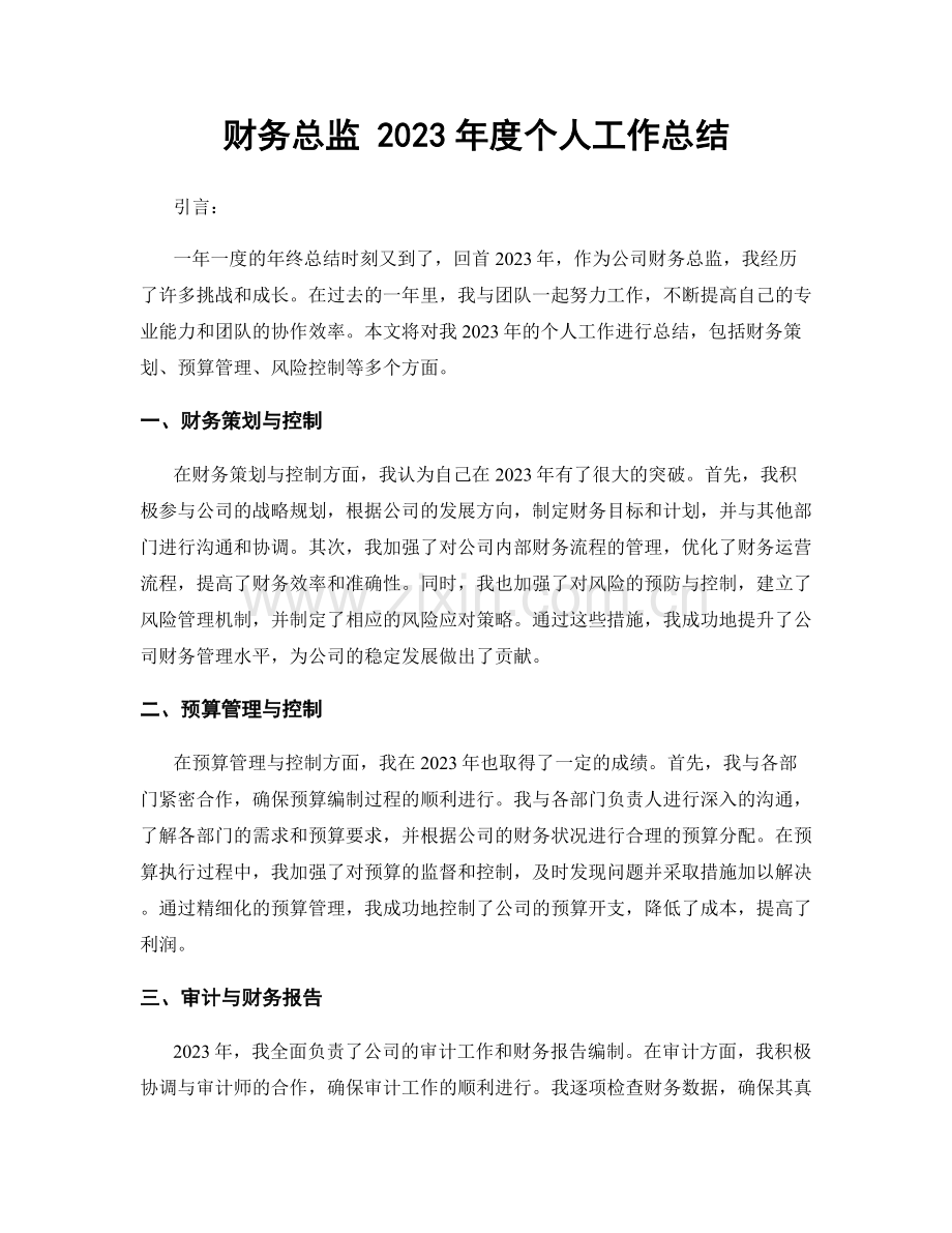 财务总监 2023年度个人工作总结.docx_第1页