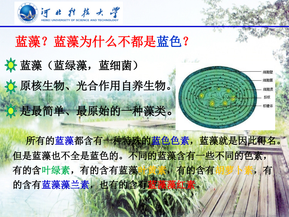 景观水治理现状及环城水系的管护思考.ppt_第2页