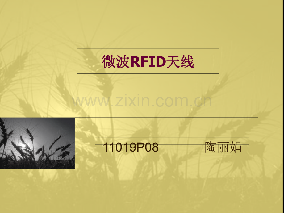 微波RFID天线.ppt_第1页