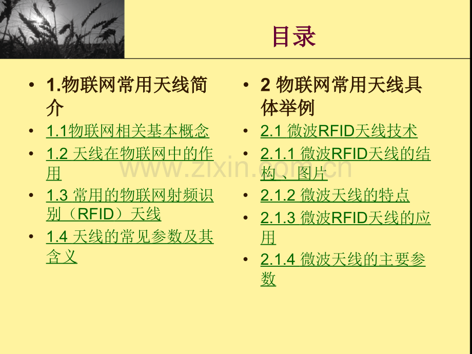 微波RFID天线.ppt_第2页