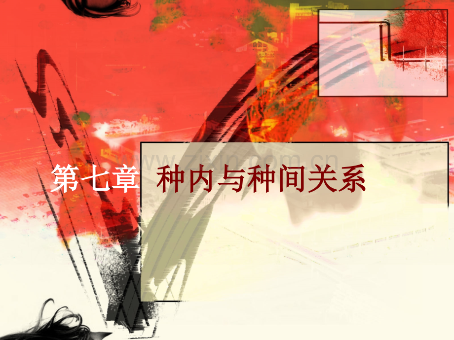 第七章种内与种间关系.ppt_第1页