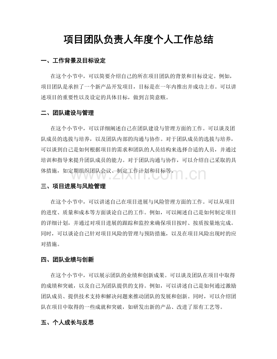 项目团队负责人年度个人工作总结.docx_第1页