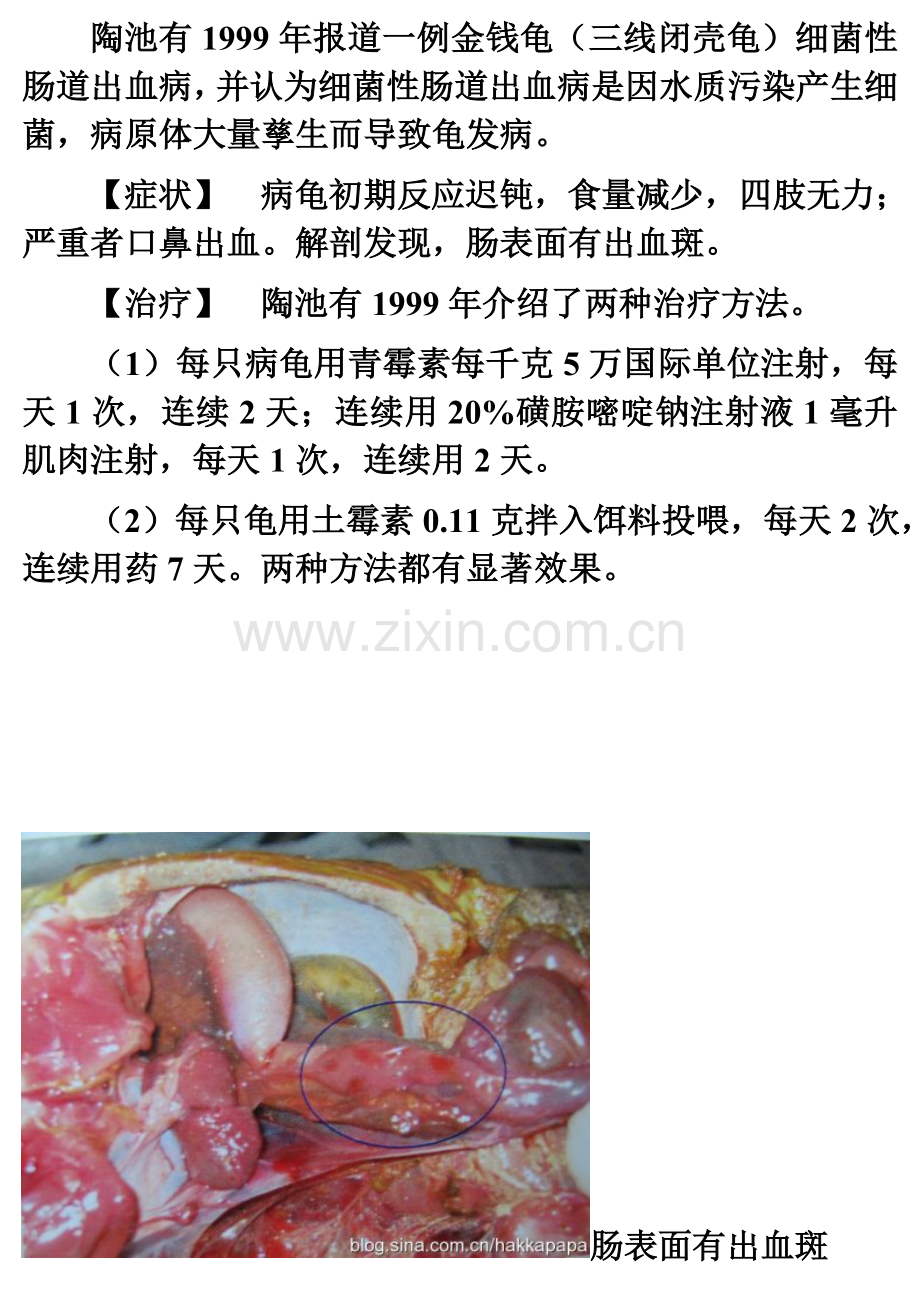《龟病图说》.doc_第2页