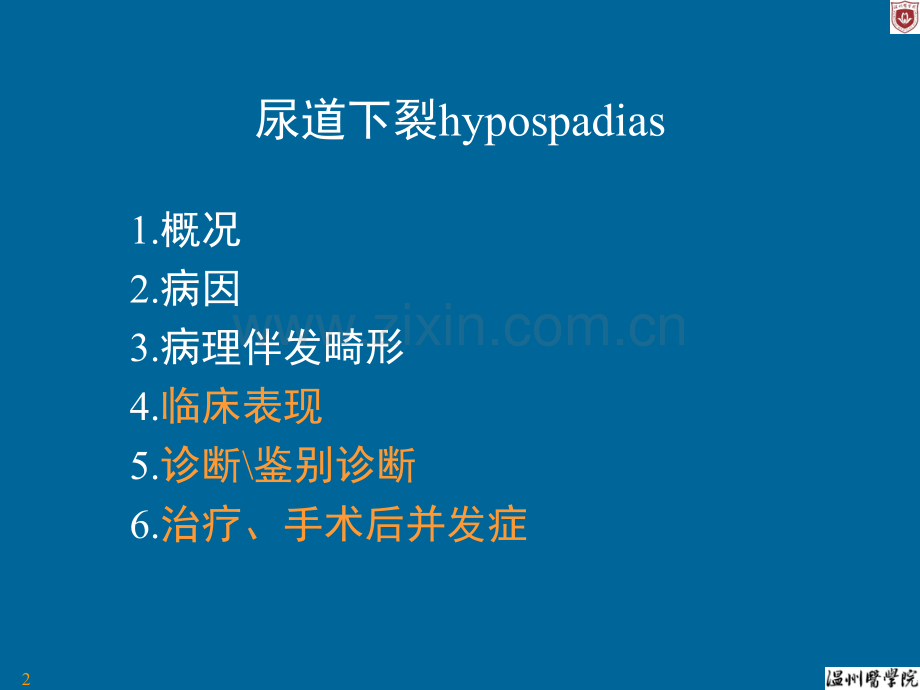 尿道下裂PPT.ppt_第2页