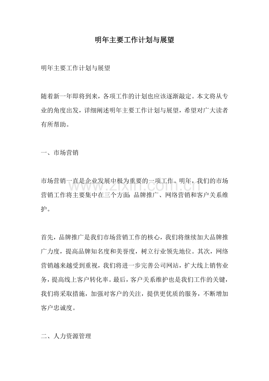 明年主要工作计划与展望.docx_第1页
