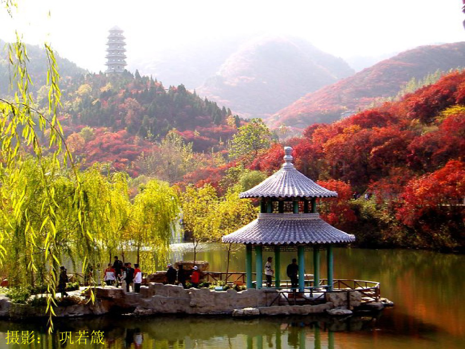 诊断思路.pdf_第1页