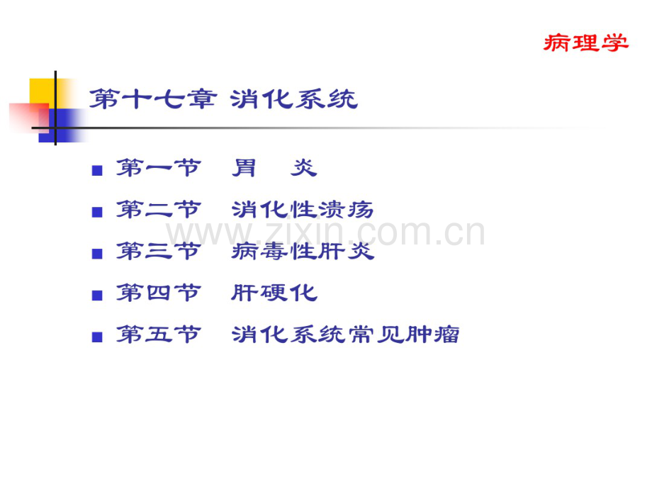 消化系统.pdf_第1页