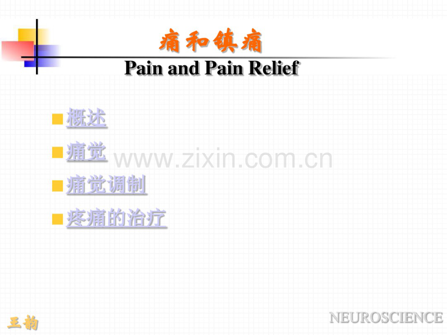 痛觉产生的基础理论知识.pdf_第2页