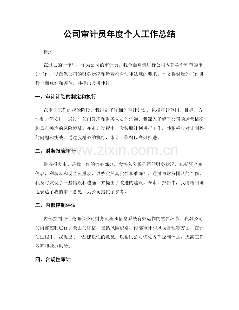 公司审计员年度个人工作总结.docx_第1页