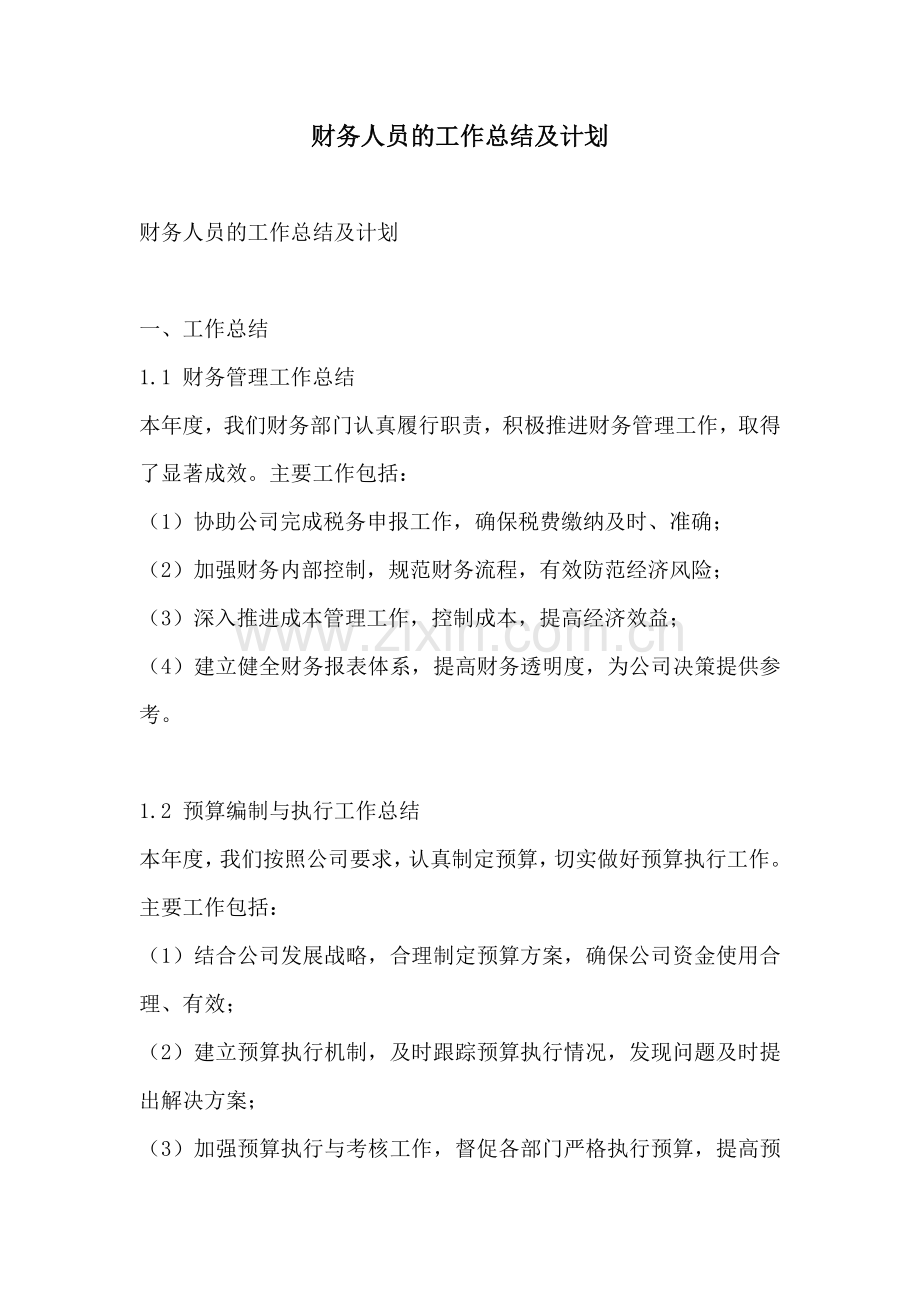 财务人员的工作总结及计划.docx_第1页