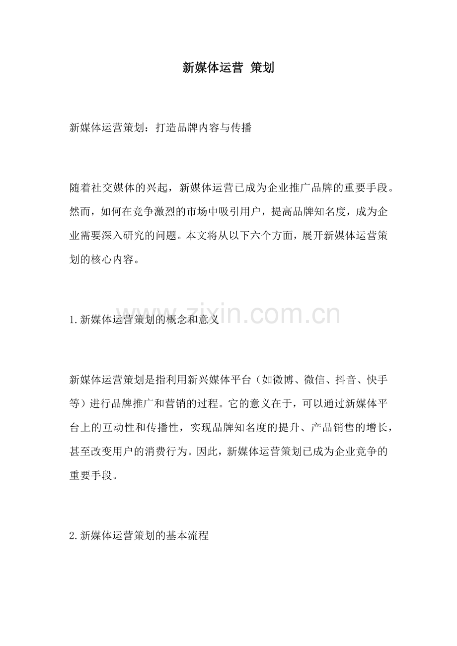 新媒体运营 策划.docx_第1页