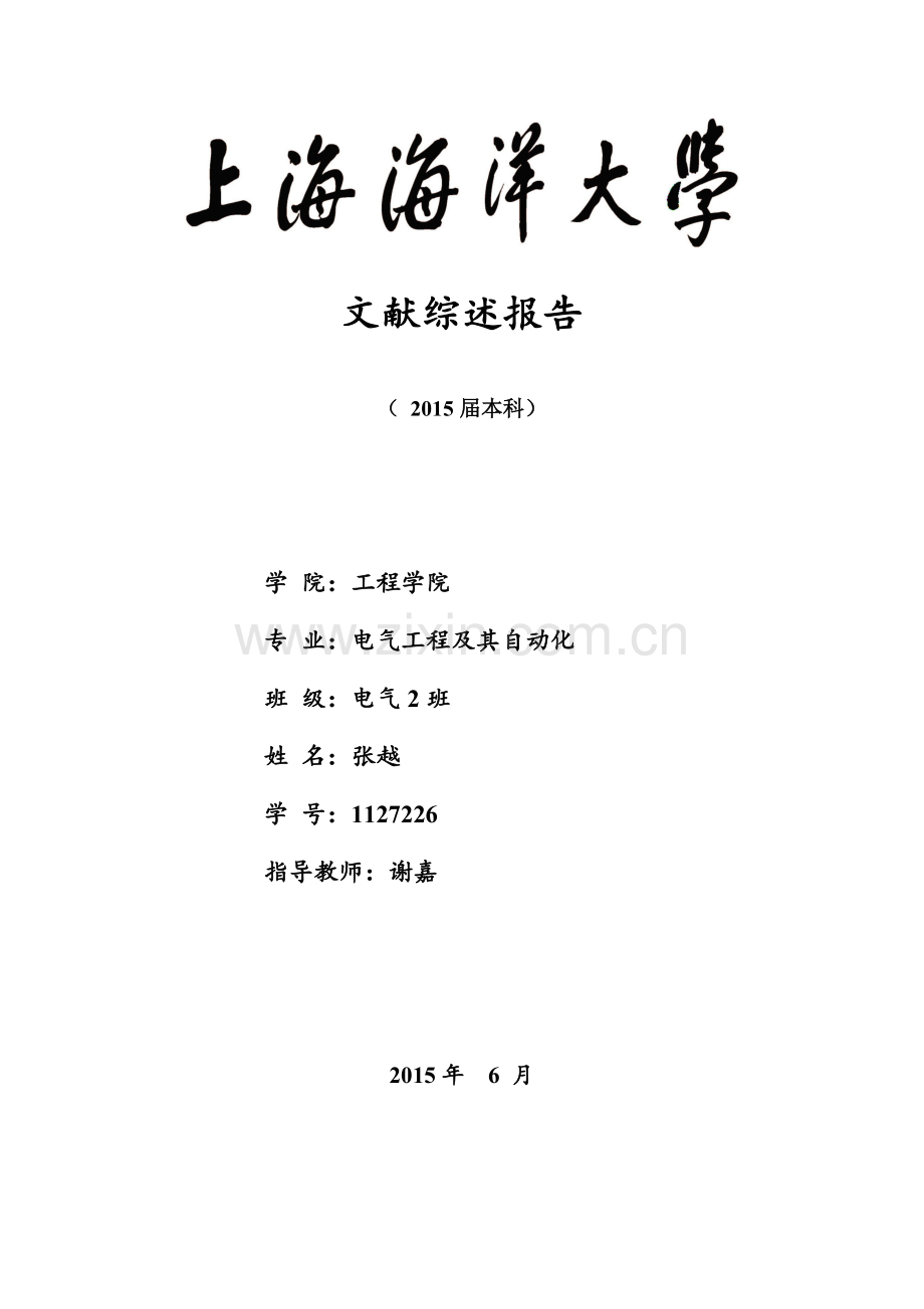 风电文献综述报告.doc_第1页