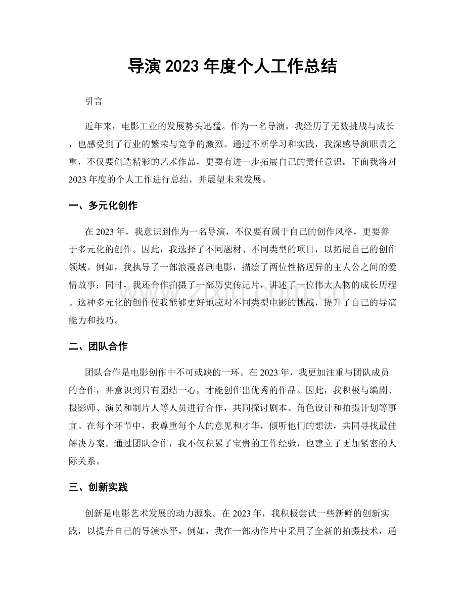 导演2023年度个人工作总结.docx_第1页