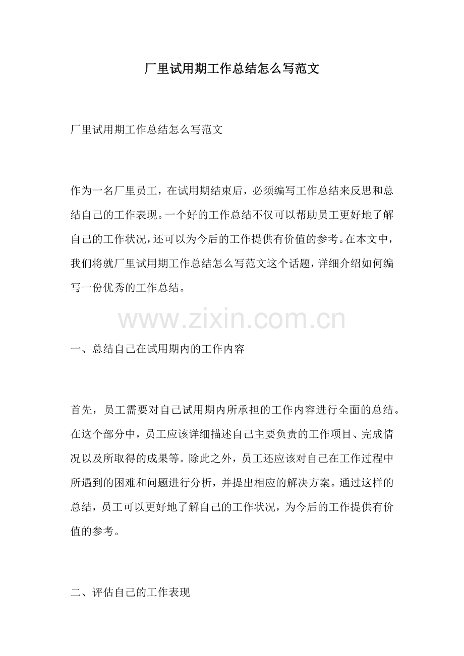 厂里试用期工作总结怎么写范文.docx_第1页