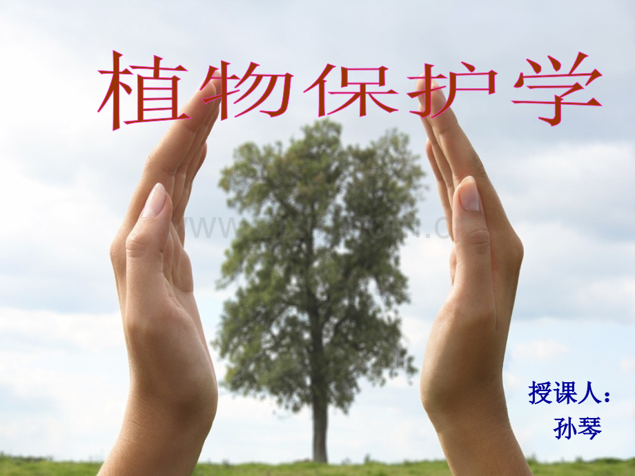植物保护学.ppt_第1页