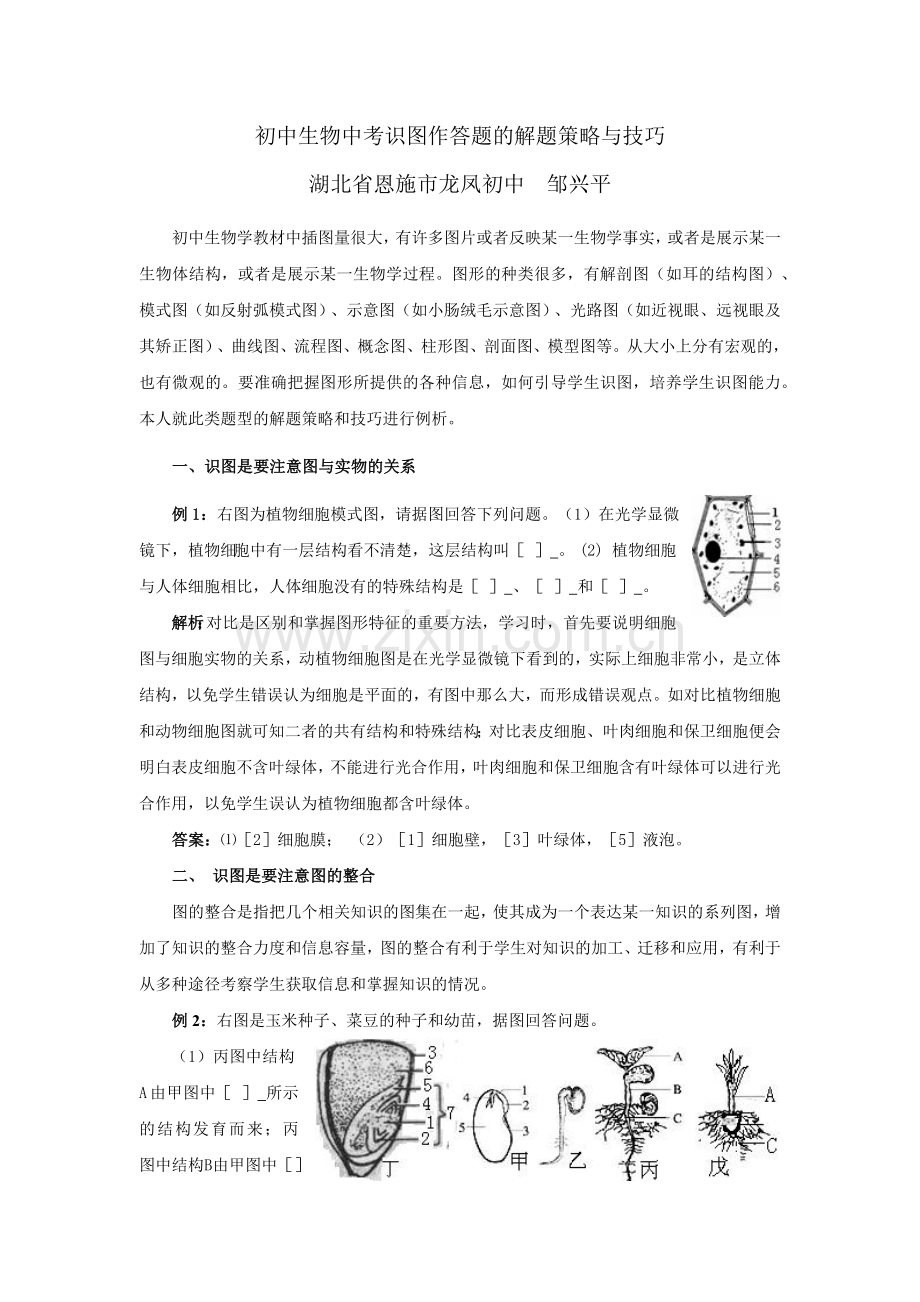 初中生物中考识图作答题的解题技巧.doc_第1页