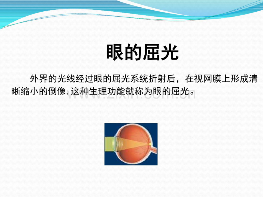 屈光检查.pdf_第2页