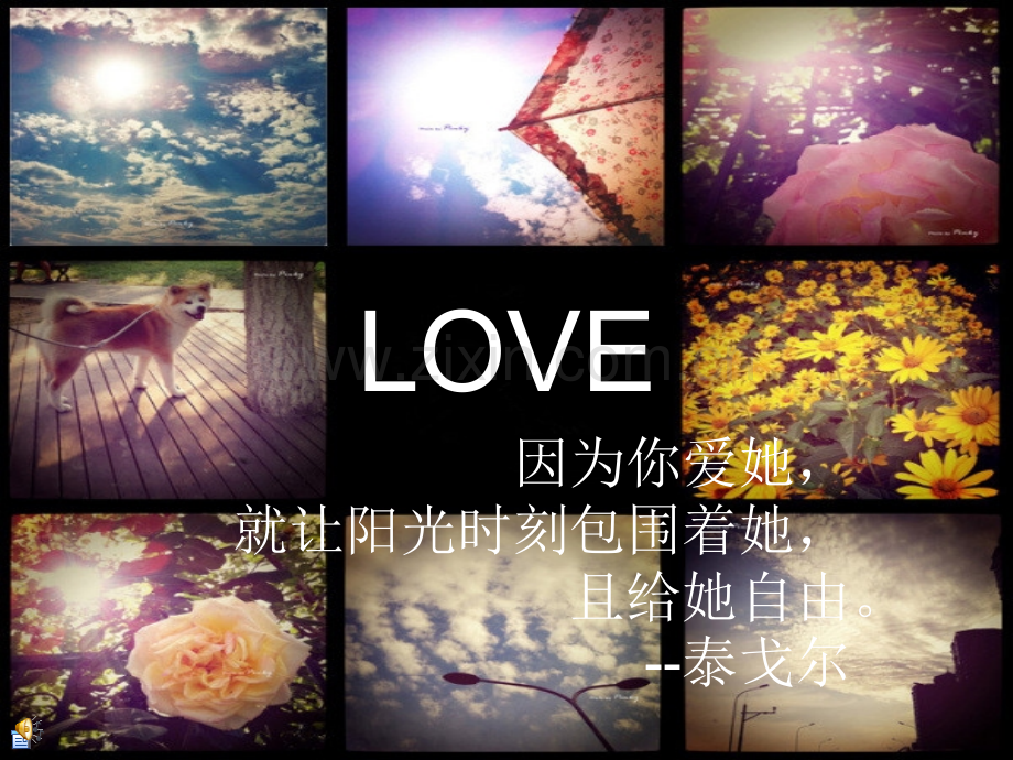 爱是什么(英语演讲PPT).ppt_第1页