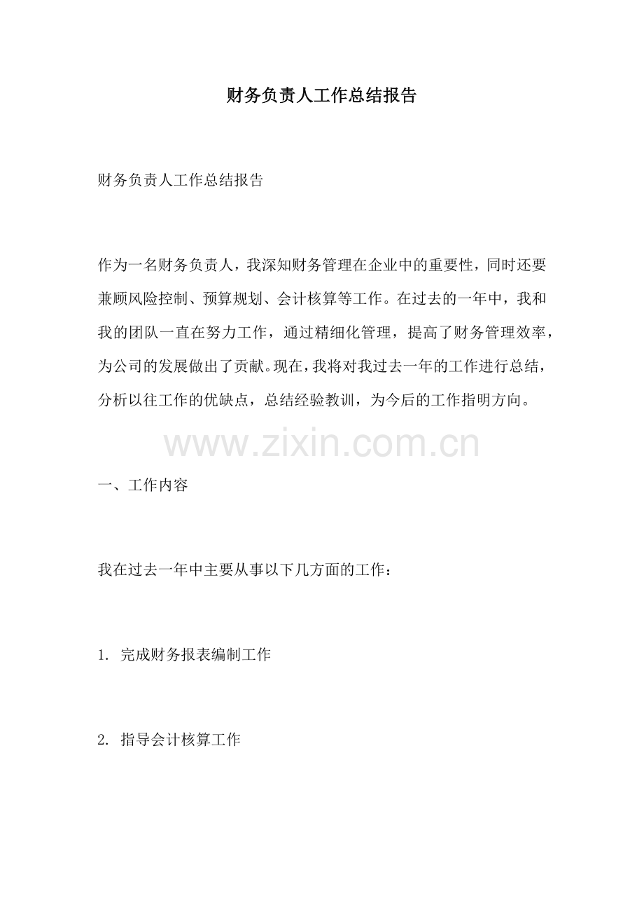 财务负责人工作总结报告.docx_第1页