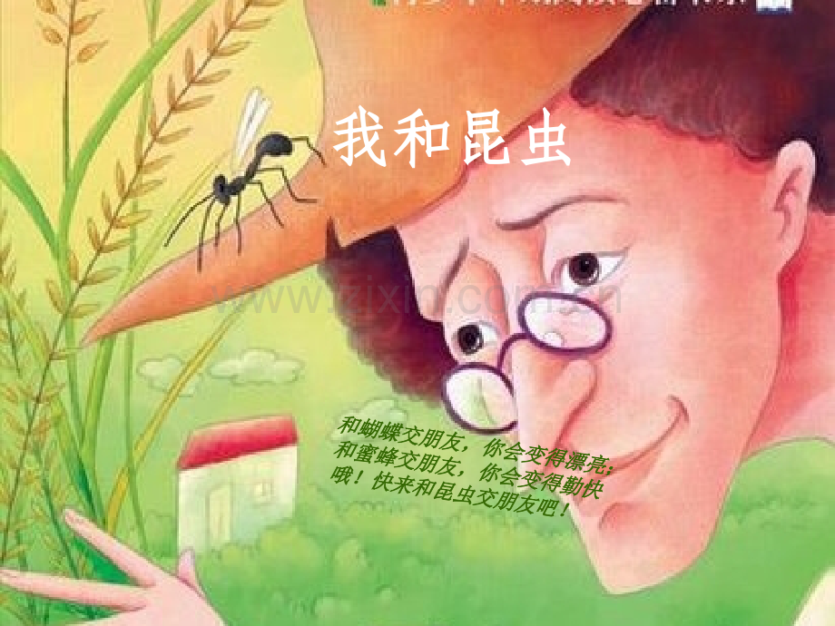 我和昆虫美术教案.ppt_第1页