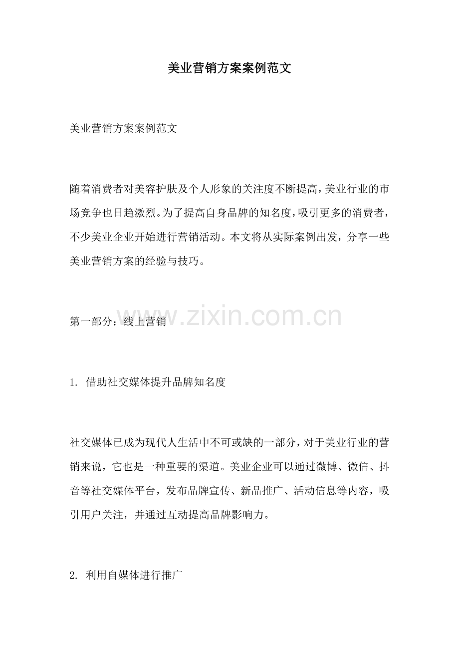 美业营销方案案例范文.docx_第1页