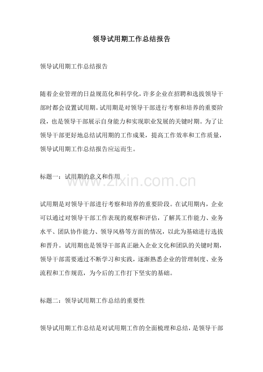 领导试用期工作总结报告.pdf_第1页