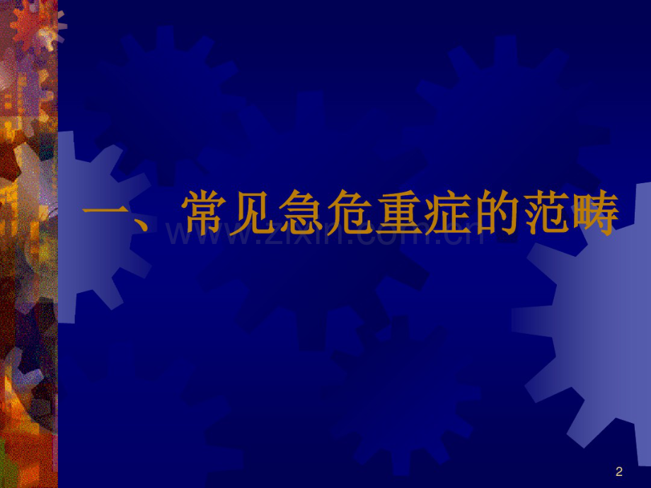 常见危重症快速识别要点及处理技巧.pdf_第2页