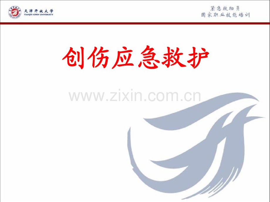 创伤应急救护.pdf_第1页