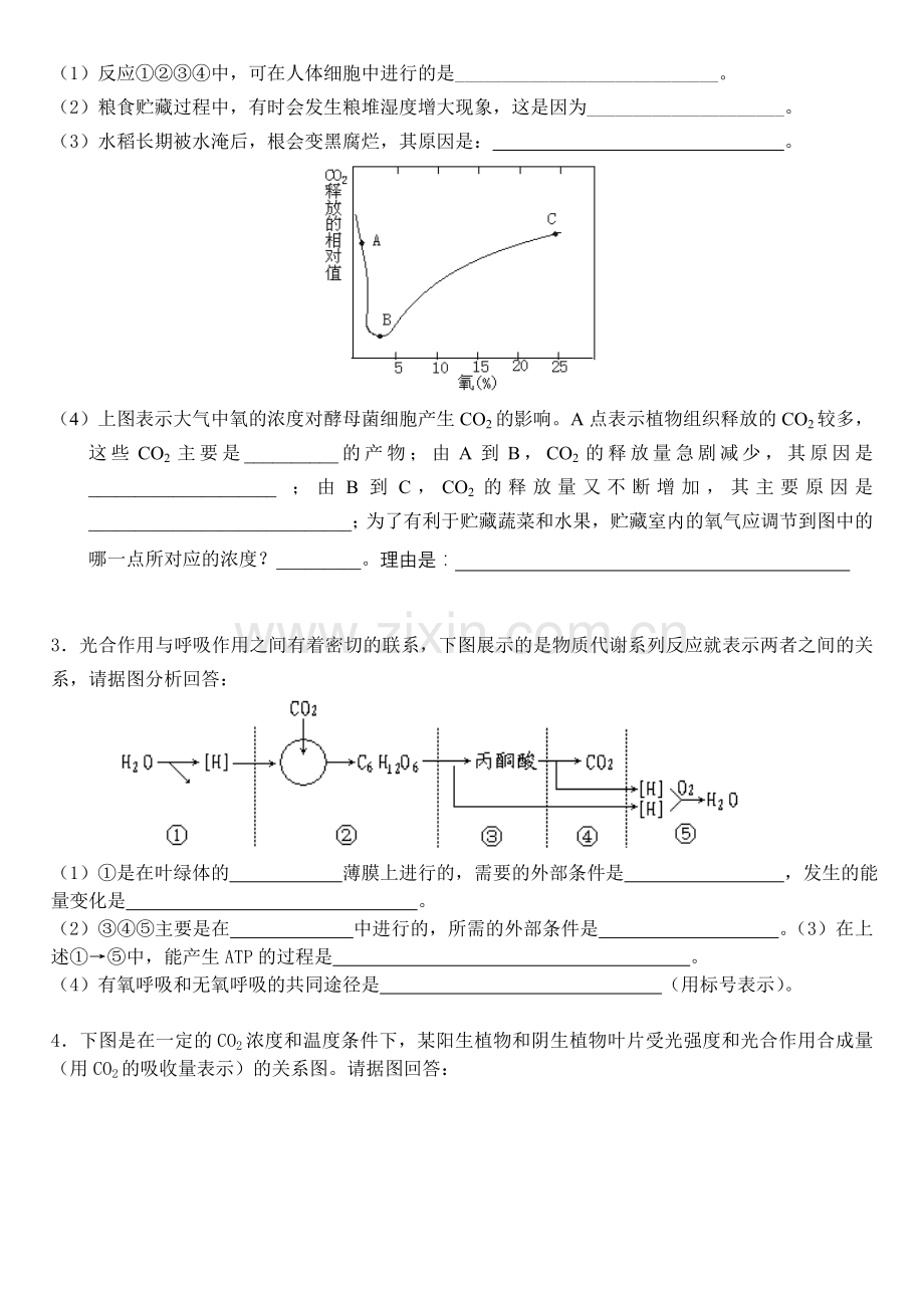 光合呼吸综合题及答案.doc_第2页