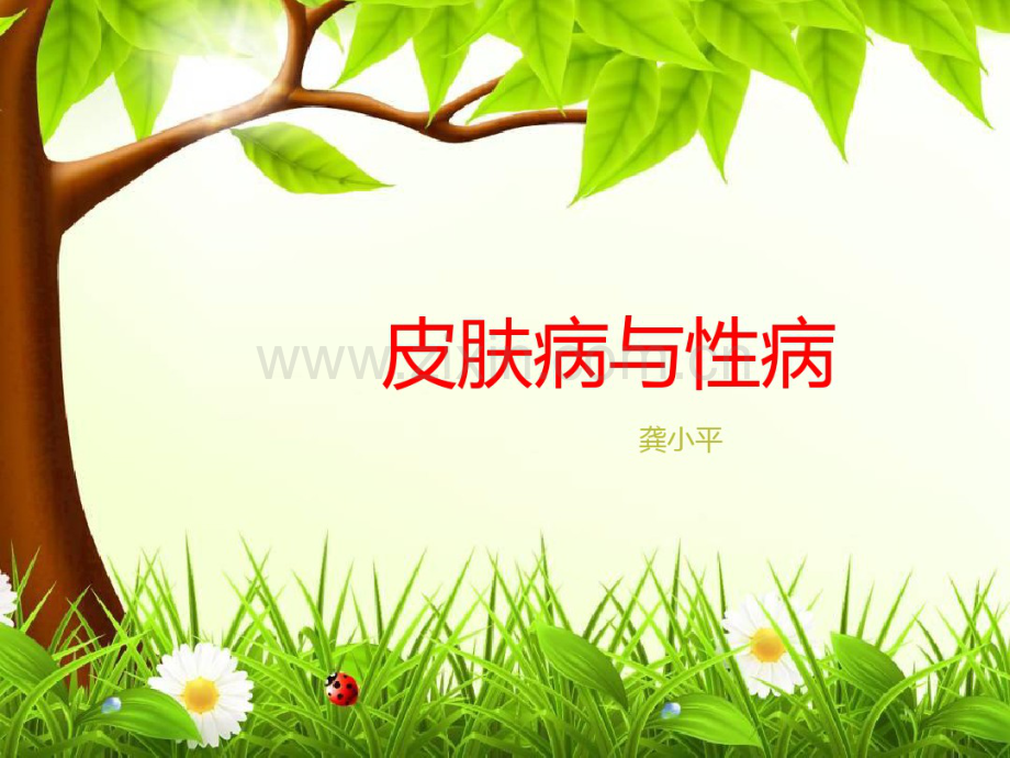 皮肤病与性病.pdf_第1页