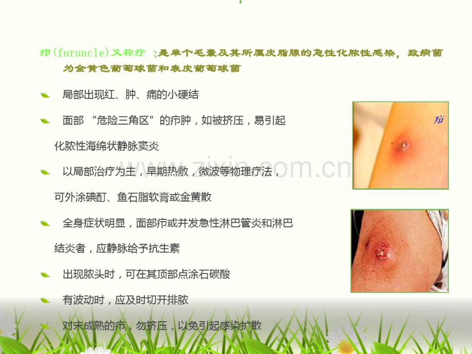 皮肤病与性病.pdf_第2页