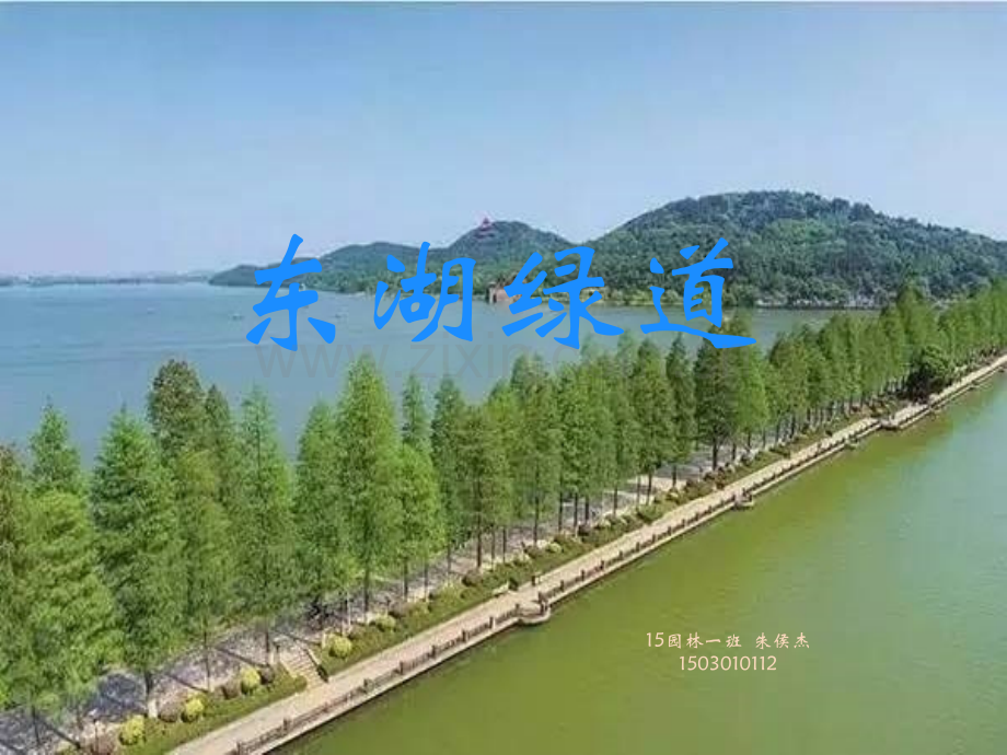 东湖绿道.pptx_第1页