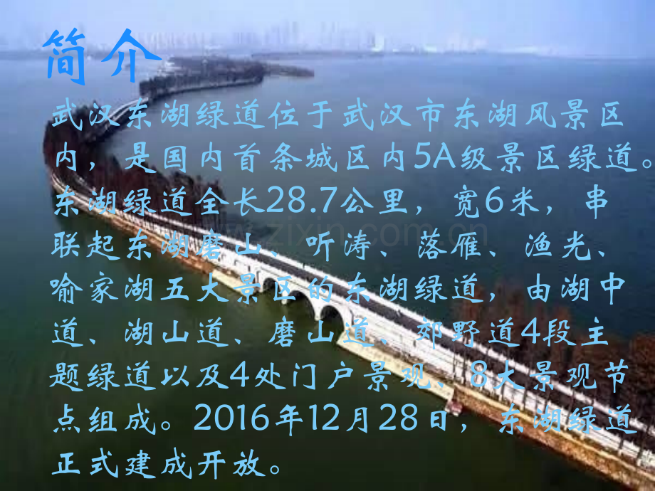 东湖绿道.pptx_第2页