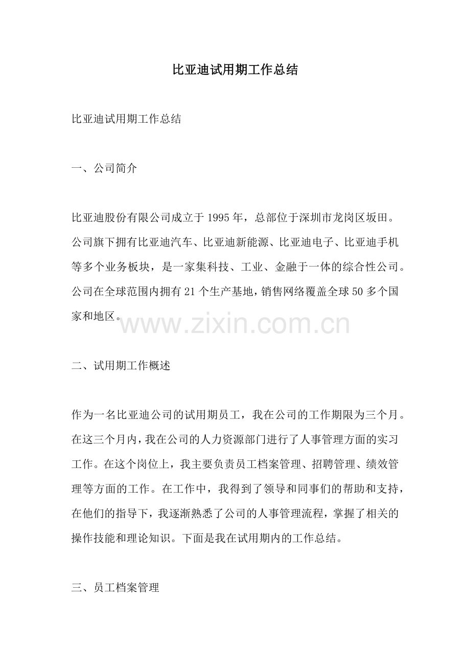 比亚迪试用期工作总结.docx_第1页
