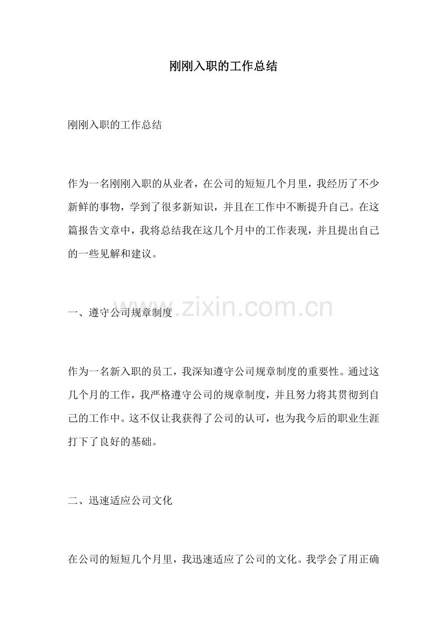 刚刚入职的工作总结.docx_第1页