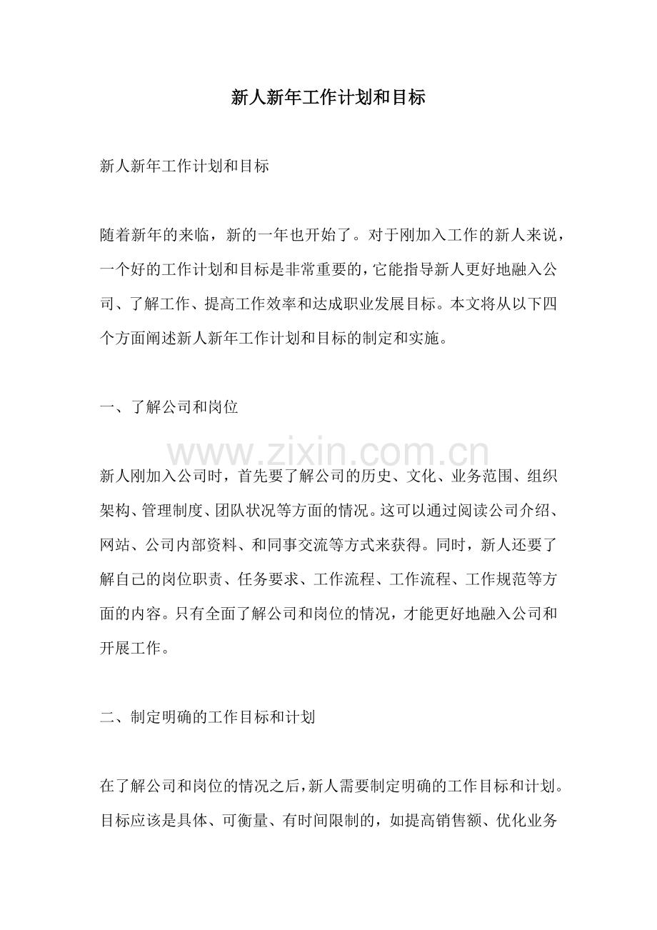 新人新年工作计划和目标.docx_第1页