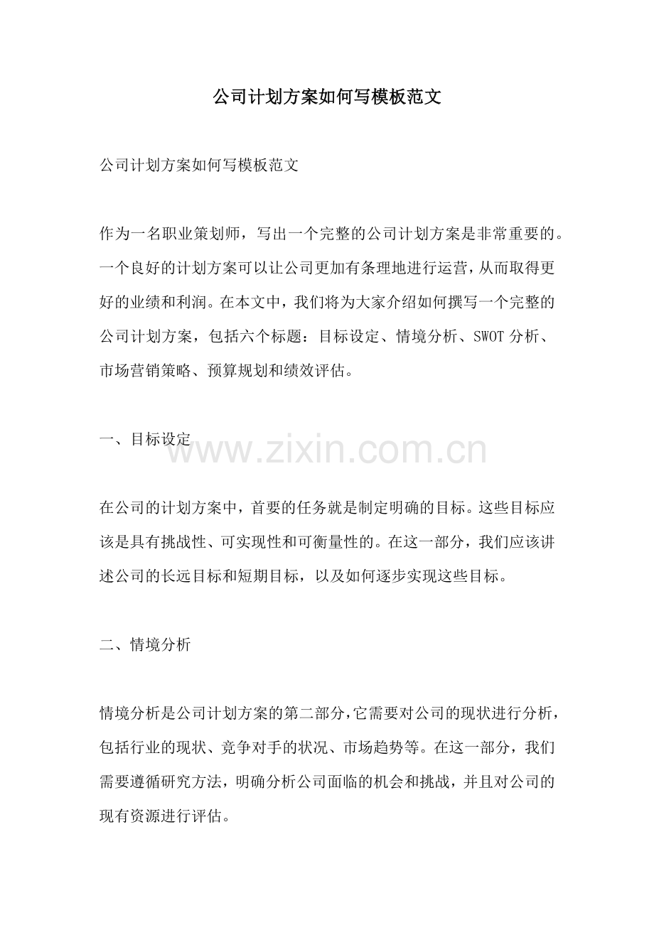 公司计划方案如何写模板范文.docx_第1页