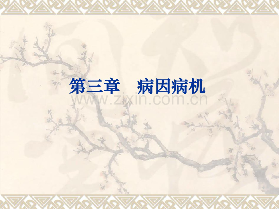 中医病因病机-(2).pdf_第1页